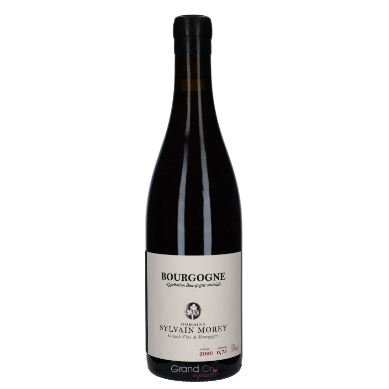 2020 Domaine Sylvain Morey Bourgogne Rouge 2020 Domaine Sylvain Morey Bourgogne Rouge