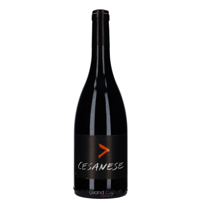 2020 l'Olivella Cesanese 2020 l'Olivella Cesanese
