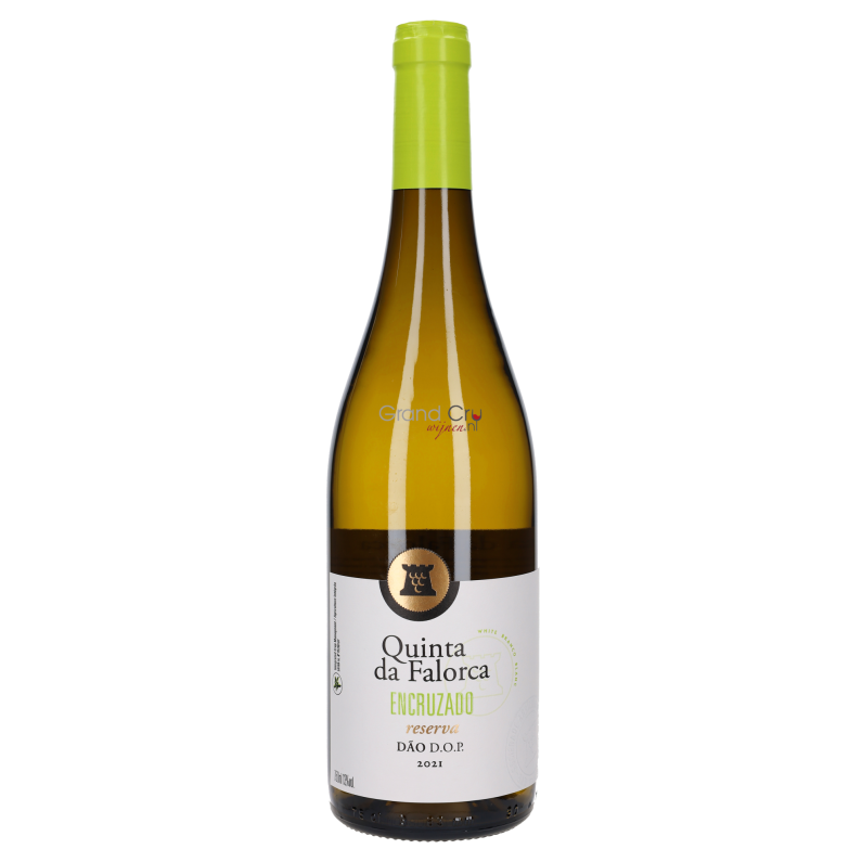 2021 Quinta da Falorca Encruzado Reserva Blanco 2021 Quinta da Falorca Encruzado Reserva Blanco