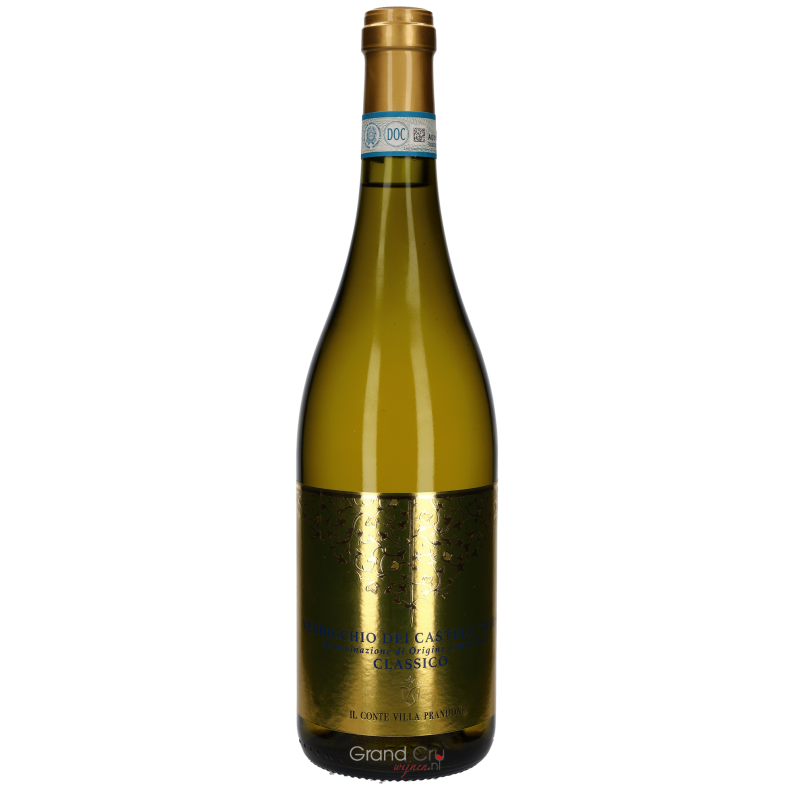 2022 Il Conte Villa Prandone Verdicchio dei Castelli di Jesi DOC 2022 Il Conte Villa Prandone Verdicchio dei Castelli di Jesi DOC