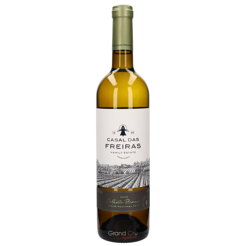 2022 Quinta Casal das Freiras Colheita Branco 2022 Quinta Casal das Freiras Colheita Branco