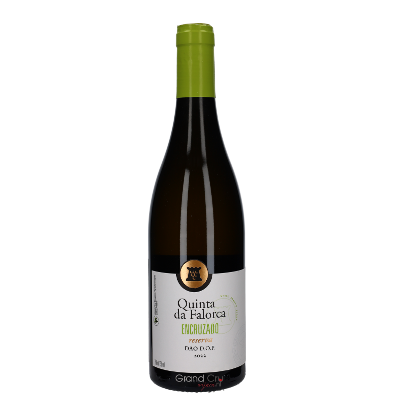 2022 Quinta da Falorca Encruzado Reserva Blanco 2022 Quinta da Falorca Encruzado Reserva Blanco