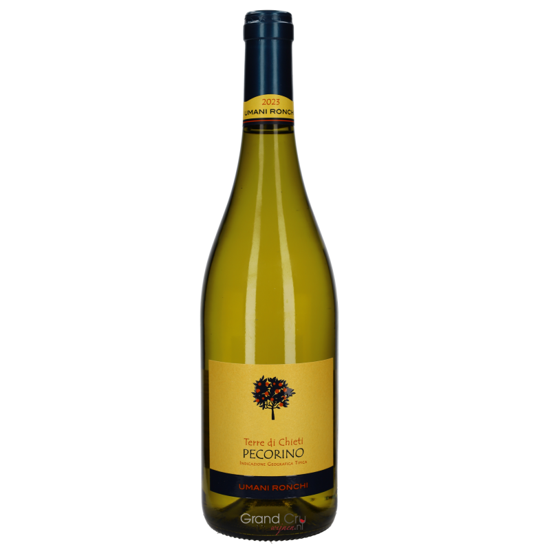 2023 Umani Ronchi Pecorino Terre di Chieti 2023 Umani Ronchi Pecorino Terre di Chieti
