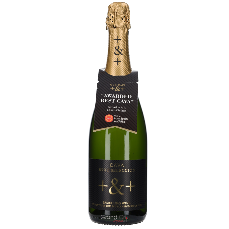 Cava Pinord +&+ Brut Selección Cava Pinord +&+ Brut Selección