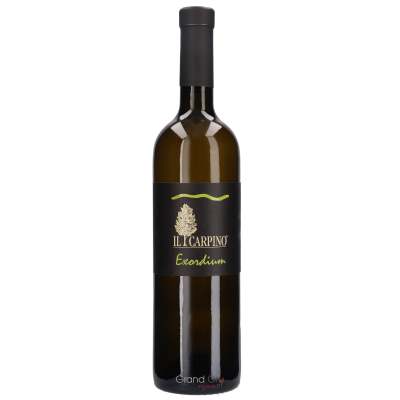 2012 Il Carpino Exordium
