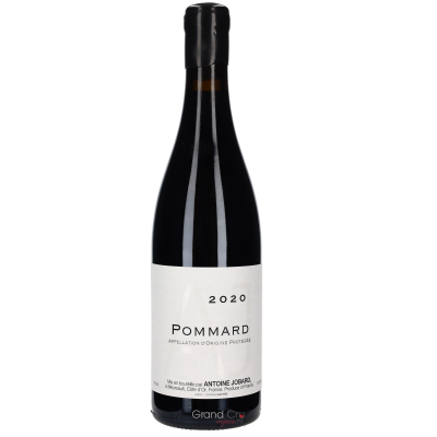 2020 Antoine Jobard Saint-Pommard