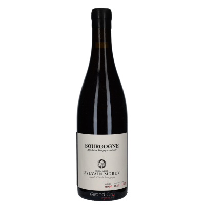 2020 Domaine Sylvain Morey Bourgogne Rouge
