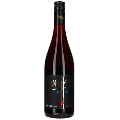 2020 Franz Haas Alto Adige Pinot Nero Schweizer