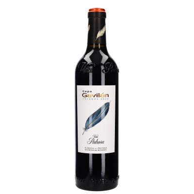 2020 Hermanos Perez Pascuas Vina Pedrosa Cepa Gavilan Crianza