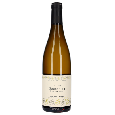 2020 Marchand-Tawse Bourgogne Chardonnay