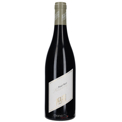 2020 Weingut Pfaffl Pinot Noir Reserve