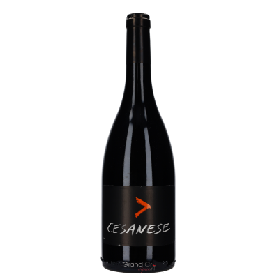 2020 l'Olivella Cesanese