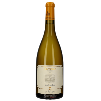 2021 Antinori Cervaro della Sala