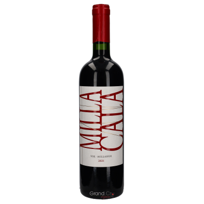 2021 Viña Vik Winery Milla Cala