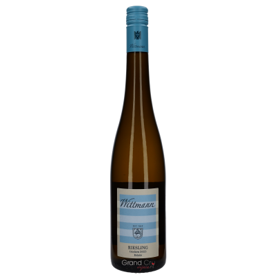 2023 Weingut Wittmann Riesling Trocken BIO