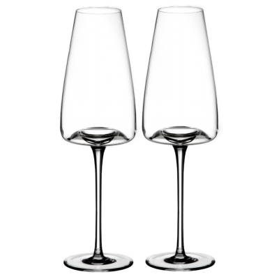 Zieher Vision Rich wijnglazen - 2 stuks