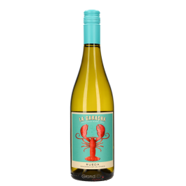 2023 Casa Rojo La Gabacha Sauvignon Blanc