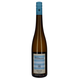 2023 Weingut Wittmann Riesling Trocken BIO