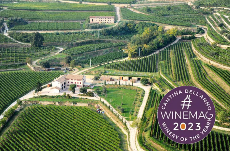 rubinelli winery of the year 2023